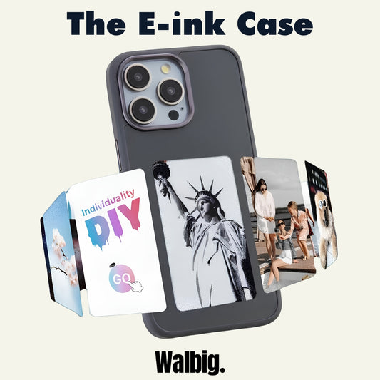 The E-ink Case