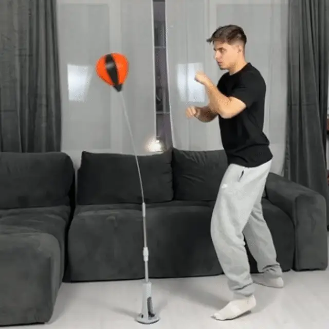 PUNCH BAGS 16 PUNCH BAGS 10