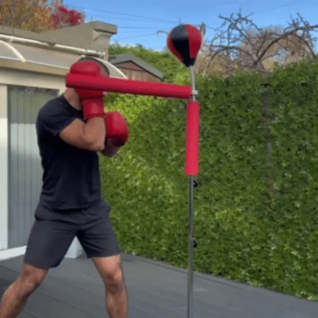 PUNCH BAGS 14 PUNCH BAGS 12